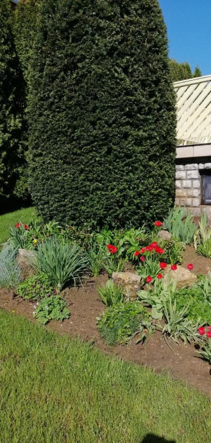 Napfeny Villa Balatonfüred Exteriör bild